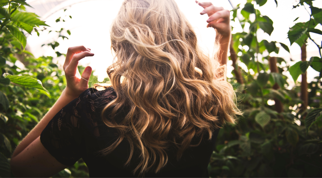 Highlights
